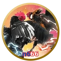 n666